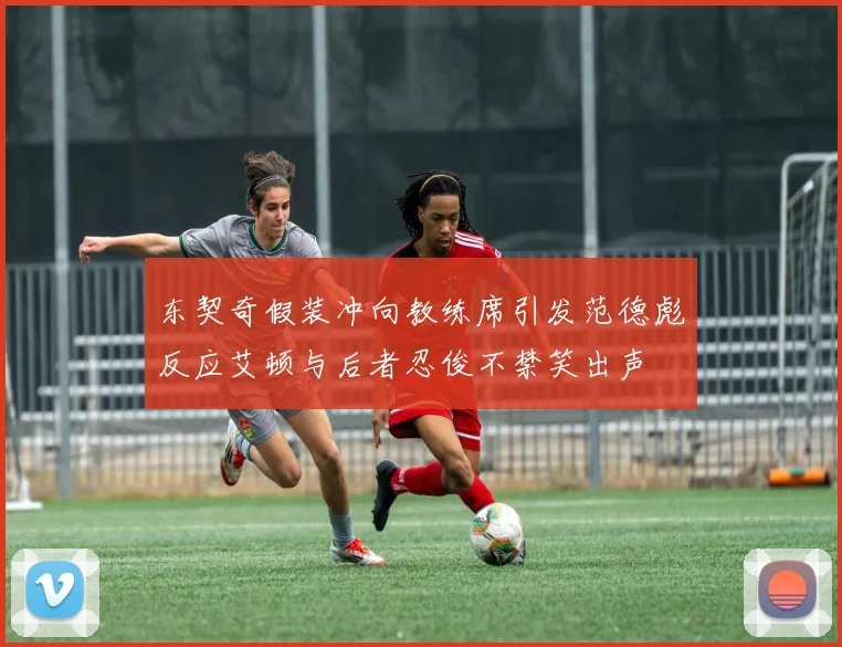 东契奇假装冲向教练席引发范德彪反应艾顿与后者忍俊不禁笑出声