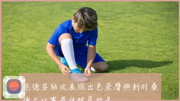 范德芬助攻表现出色荣膺热刺对桑德兰比赛最佳球员称号